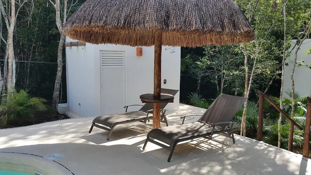 Jungle Dust Cancun Hotel Mexico