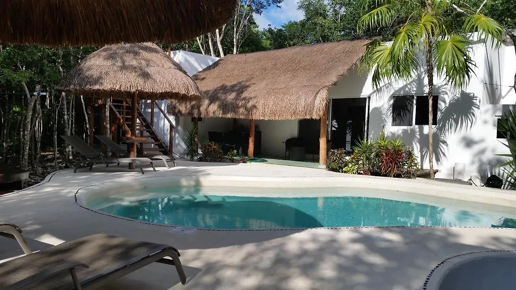 *** Guest house Jungle Dust Cancun Hotel Mexico
