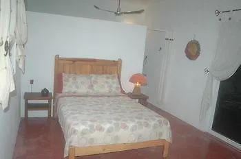 *** Guest house Jungle Dust Cancun Hotel Mexico