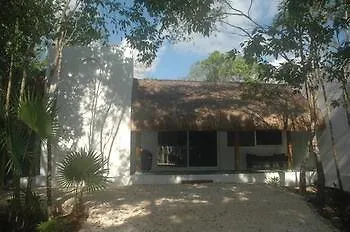 Jungle Dust Cancun Hotel