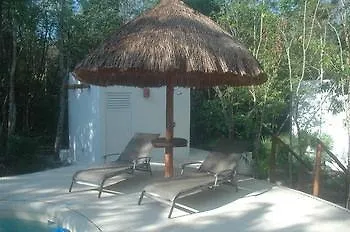 Jungle Dust Cancun Hotel 3*,