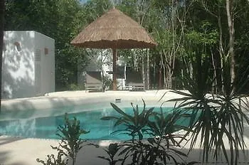 Jungle Dust Cancun Hotel Guest house