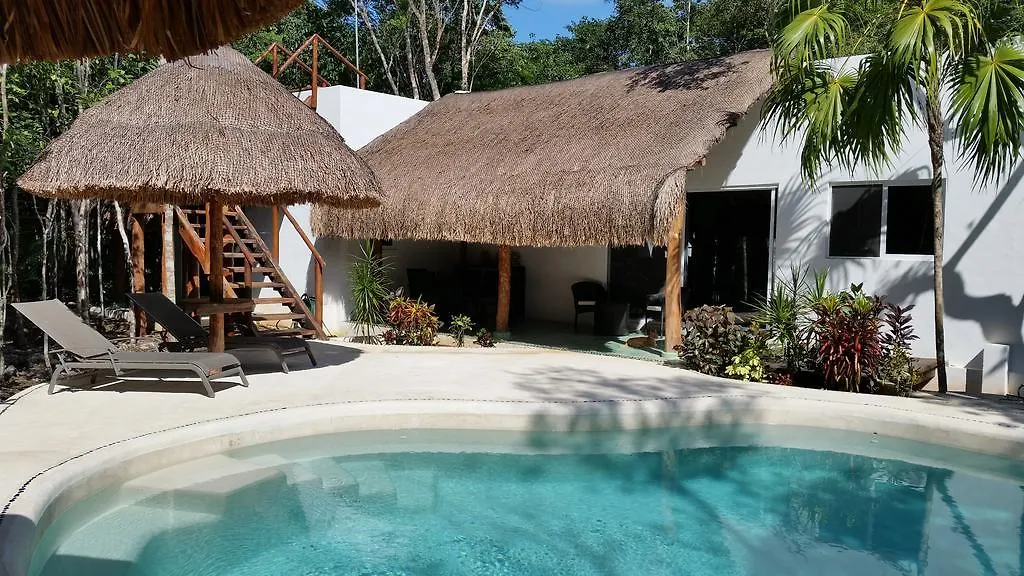 Jungle Dust Cancun Hotel
