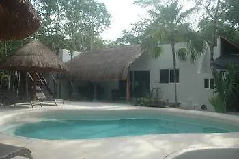 Jungle Dust Cancun Hotel 3*,