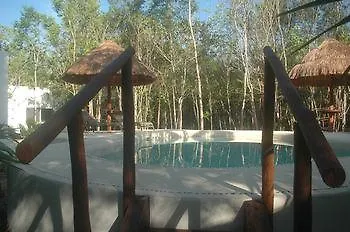 Guest house Jungle Dust Cancun Hotel