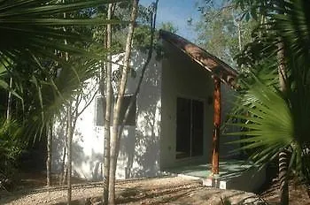 Jungle Dust Cancun Hotel Mexico