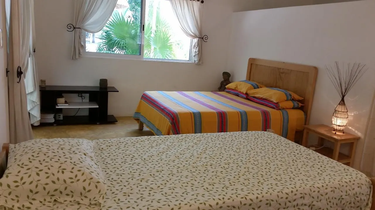 Jungle Dust Cancun Hotel Guest house