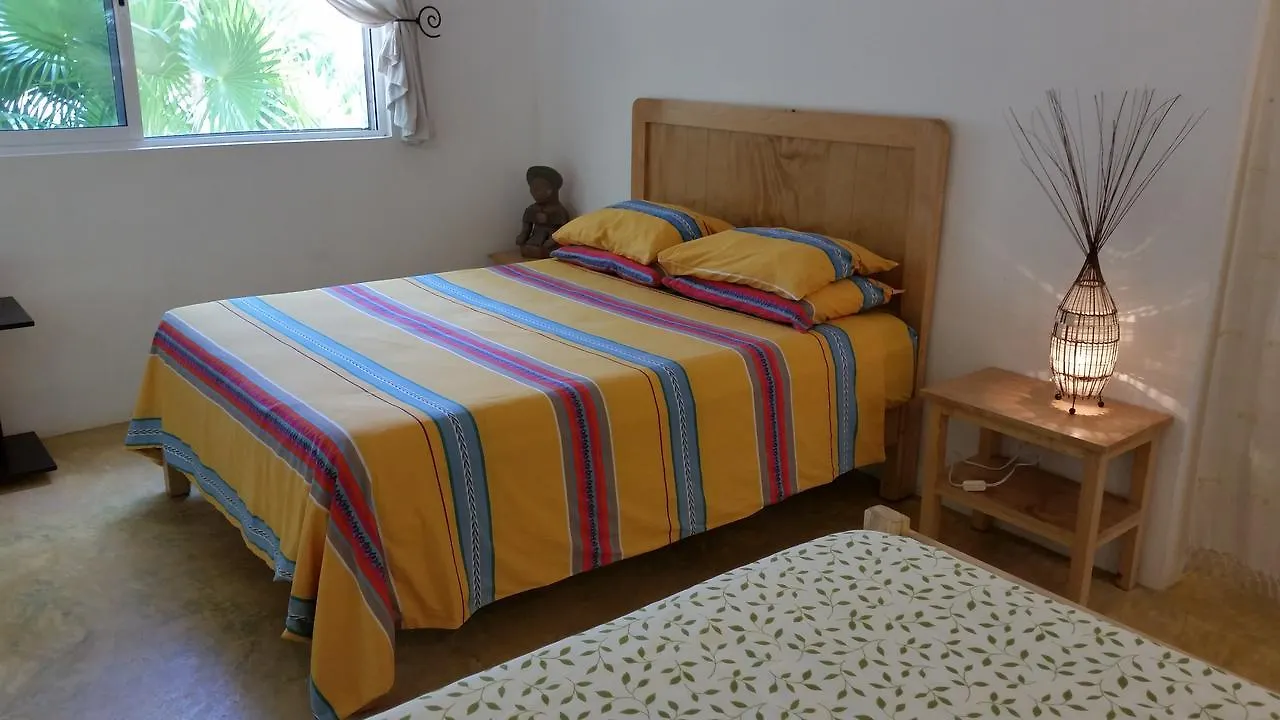 *** Guest house Jungle Dust Cancun Hotel Mexico