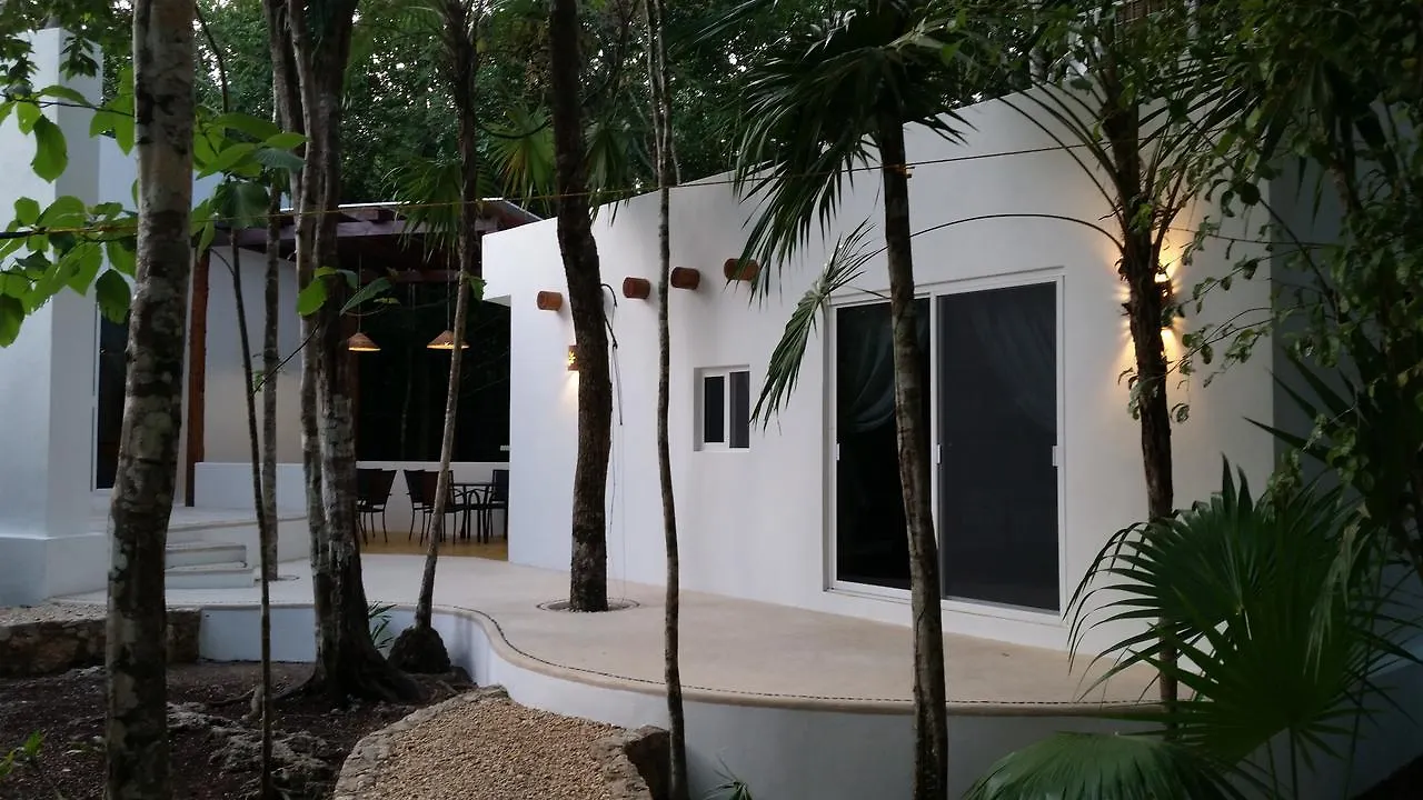 Jungle Dust Cancun Hotel 3*,