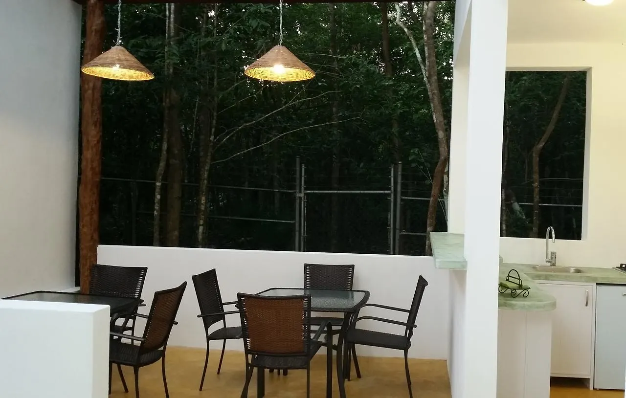 Guest house Jungle Dust Cancun Hotel