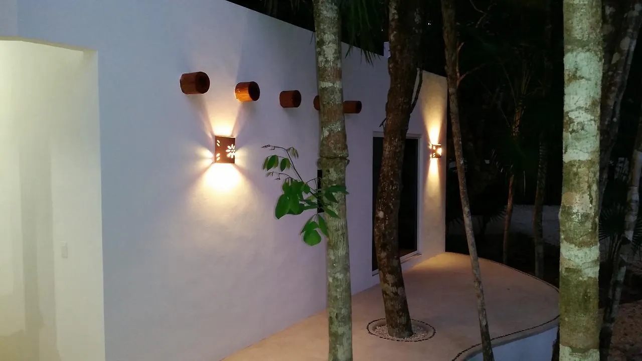 Jungle Dust Cancun Hotel Guest house