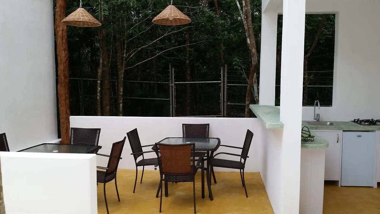 Guest house Jungle Dust Cancun Hotel