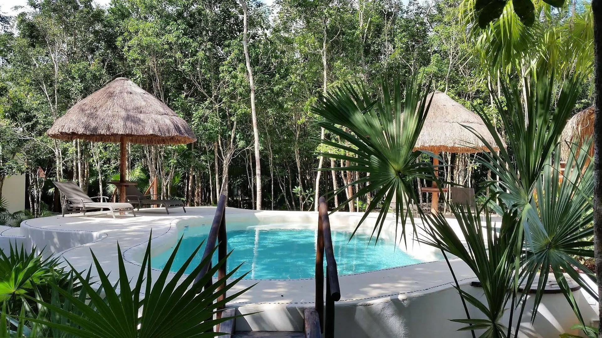 Jungle Dust Cancun location