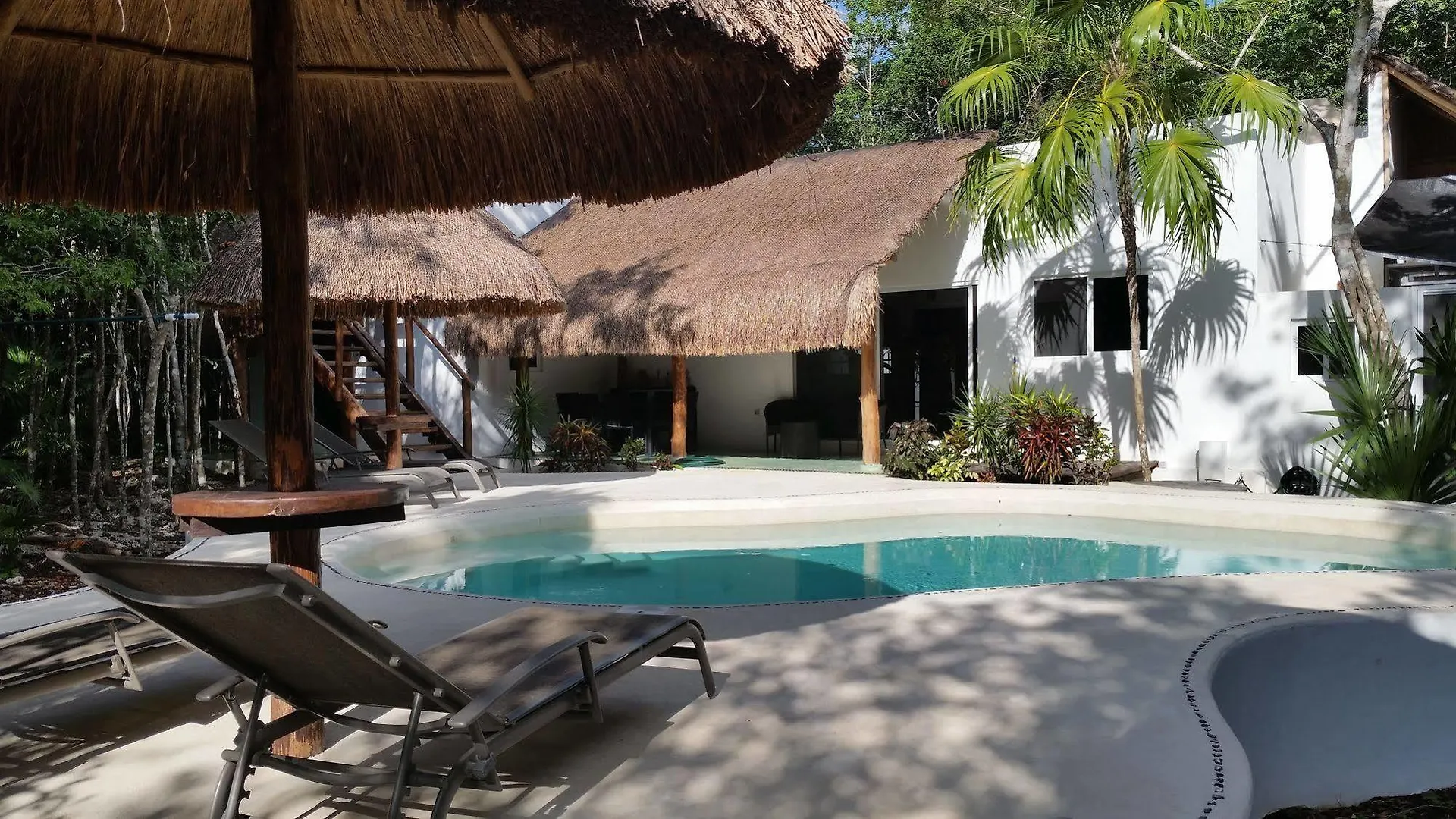 Jungle Dust Cancun Hotel Guest house